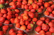 étal de fraises au marché étal de fraises au marché