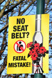 Foto: Seat belt Seat belt