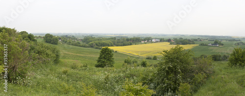Photo: Green and Yellow Fields Green and Yellow Fields