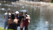 group by a lake defocused