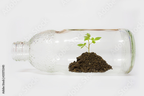Photo: sprout sprout