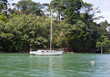 Old Abondoned Yacht Old Abondoned Yacht