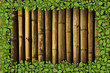 Bamboo background with green plant border. Bamboo background with green plant border.