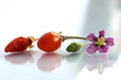 Beeren