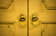 vintage door vintage door