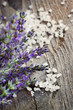 Fresh lavender