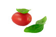 Tomate der Sorte Roma mit Basilikum - tomato and basil