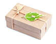 Paquet cadeau emballage écologique