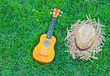 ukulele with hat