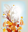 Autumn background