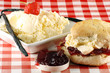 cream scone