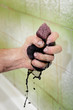 Human hand squeezing dirty sponge after cleaning