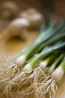 green onions