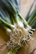 green onions