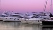 Yachts moored