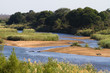 Hipps and crocodiles in the sabie river
