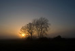 Winter Sunset