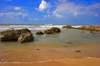 Stony beach. Stony beach.