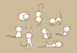 White cat set