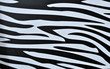 background textures zebra print