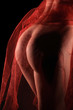 girls back and butt girls back and butt
