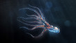 deep sea octopus