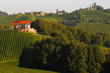 Vineyards in hilly area in southeast Austria Vineyards in hilly area in southeast Austria