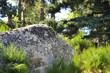 Rocher de Lozère