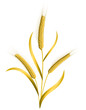 Vector: Wheat Wheat