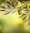Olives border design