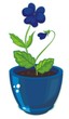 flower flower