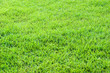 sports field