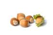 Hazelnuts on White