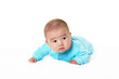 Portrait of an infant baby boy