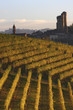 Castle of Serralunga d'Alba in the Langhe Castle of Serralunga d'Alba in the Langhe