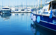 Luxury Yachts in marina