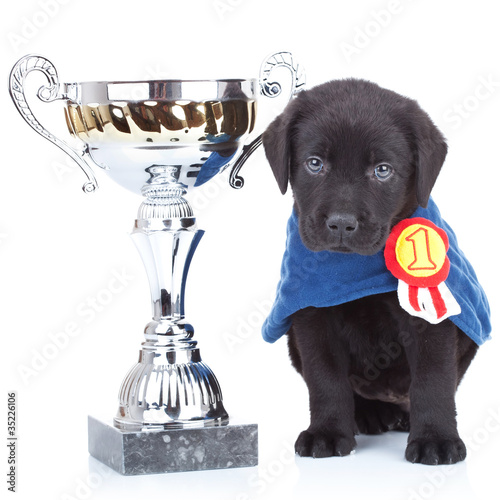 Photo: little champion little champion