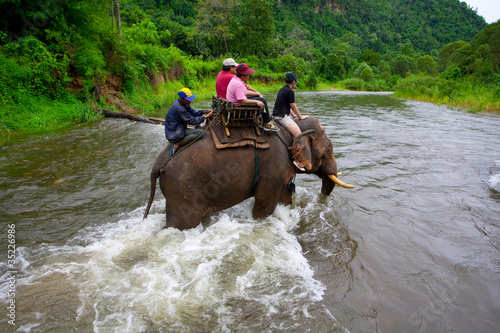 Foto: Thai Elephant trekking Thai Elephant trekking