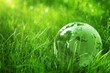 Green glass globe in the grass