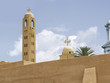 Saint Bishoy monastery