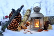 Winterlicht
