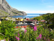 Picturesque landscape at Norway islands Picturesque landscape at Norway islands