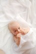 Cute baby on a white blanket