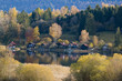 Foto: Herbstwald am See Herbstwald am See