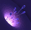 Illustration: Going to find the Egg Going to find the Egg