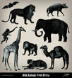 Engraving vintage African animal set. Engraving vintage African animal set.