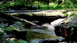 timber bridge