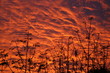 soleil couchant