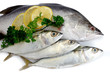 Fresh Raw Fish