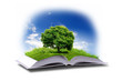 Open book with green nature world Open book with green nature world